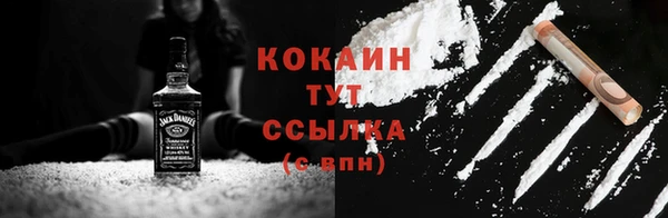 PSILOCYBIN Гусь-Хрустальный