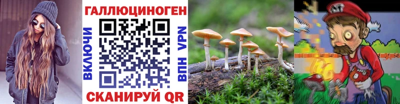 Псилоцибиновые грибы Psilocybine cubensis  Купить  Циолковский 